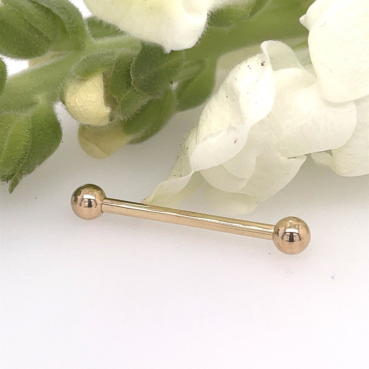 14g Straight Barbells - 14K Gold Fixed/Threaded - Agave in Bloom