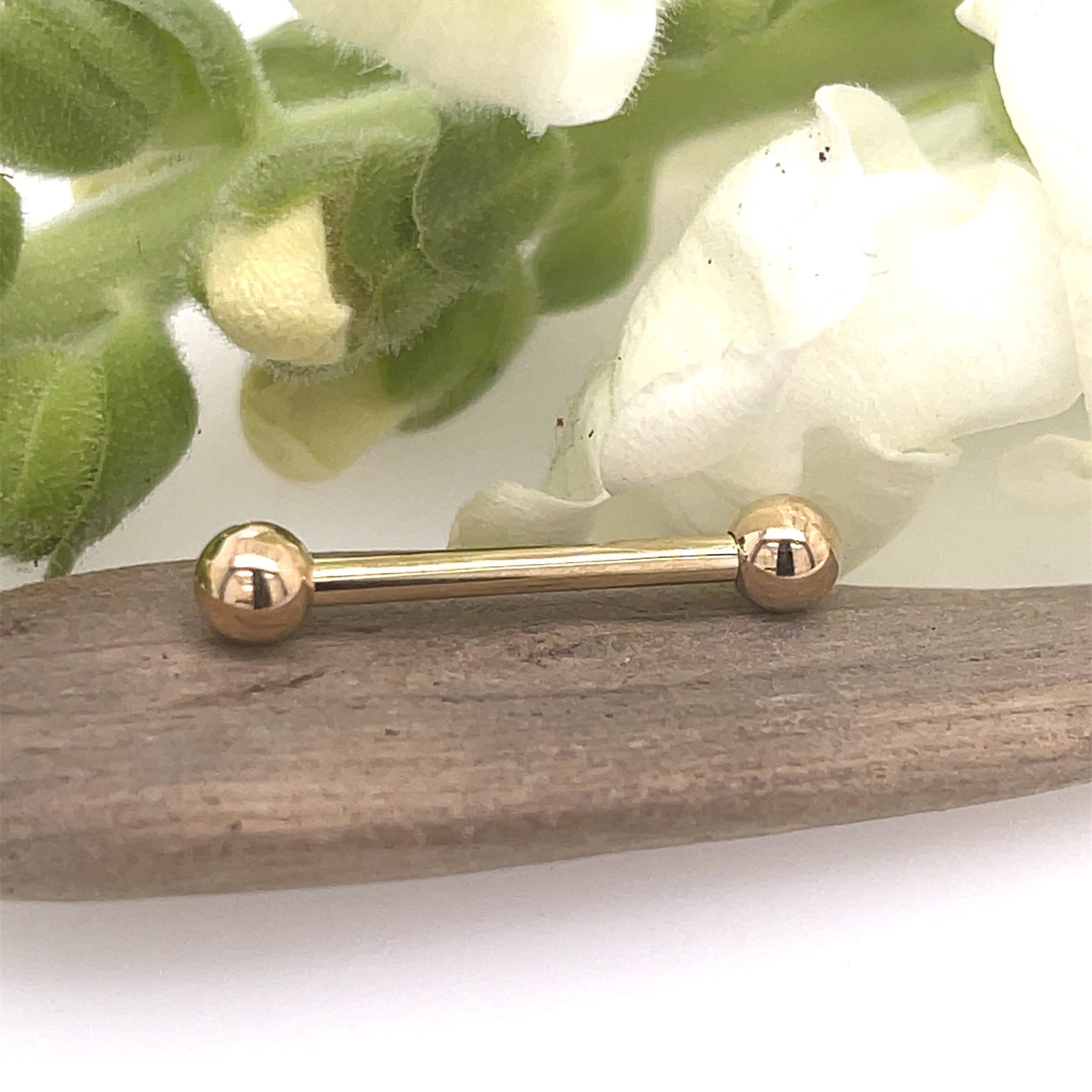 14g Straight Barbells - 14K Gold Fixed/Threaded - Agave in Bloom