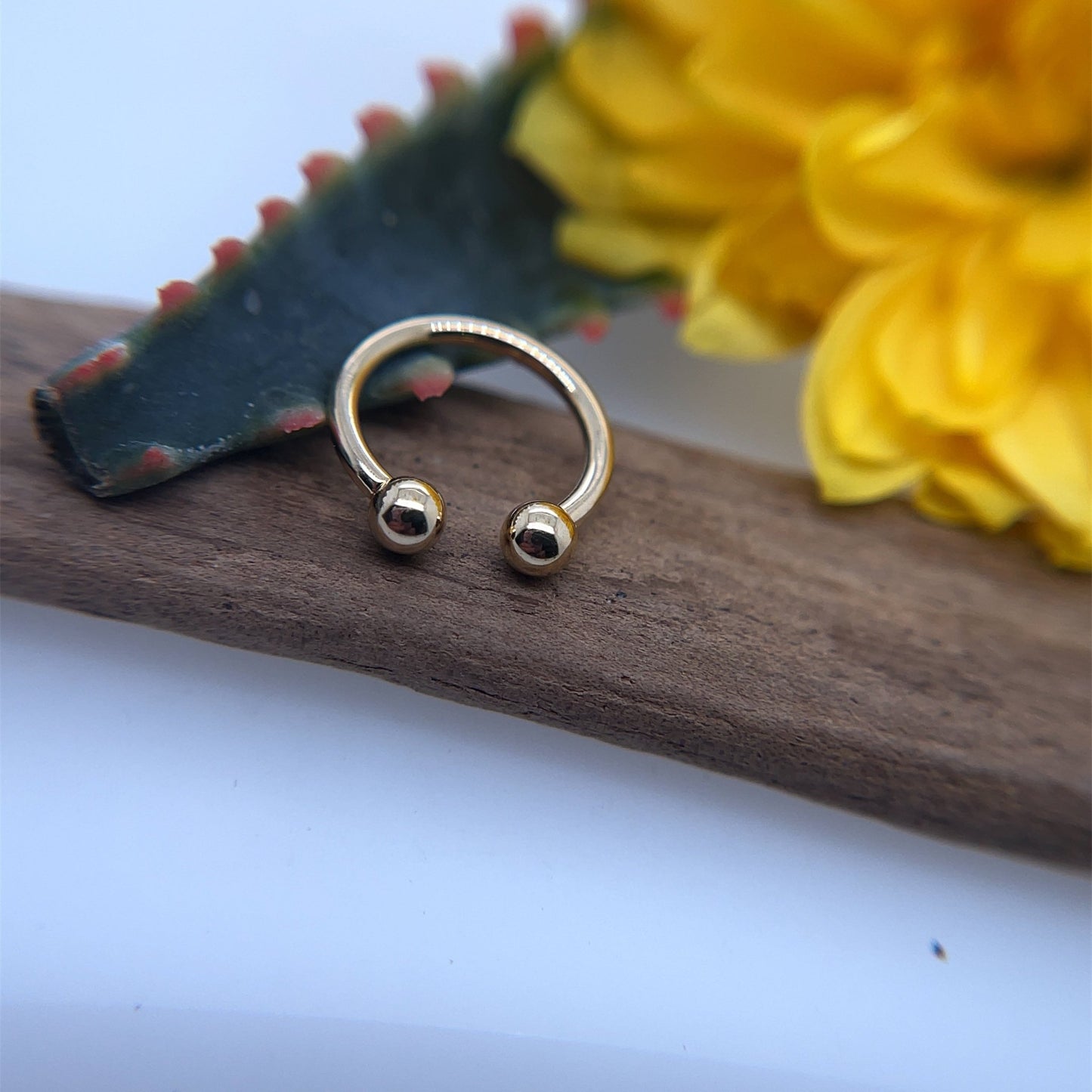 14K Gold Circular Barbells with 1/8" Beads - Agave in Bloom