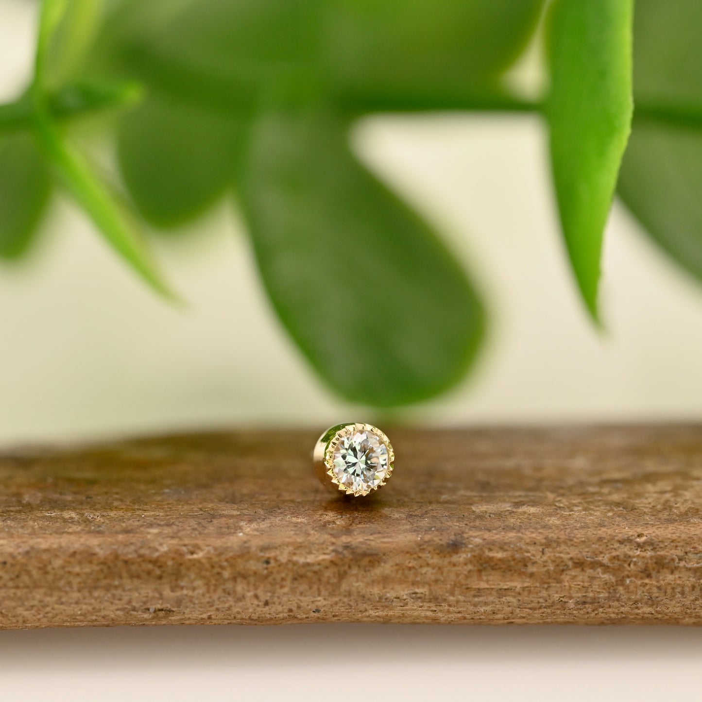 Serrated Bezel 2.5mm