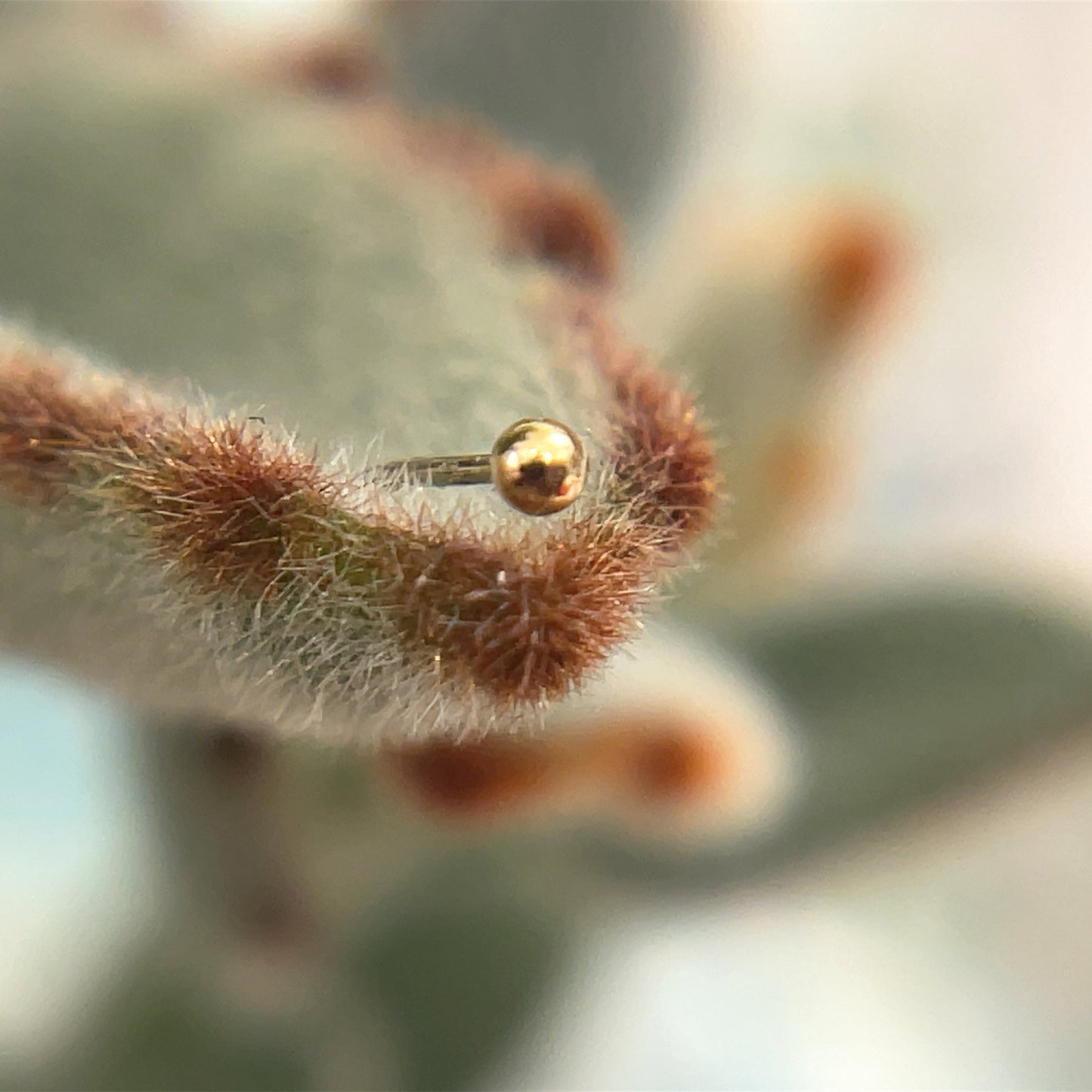 1.5mm Tiny Bead - Agave in Bloom