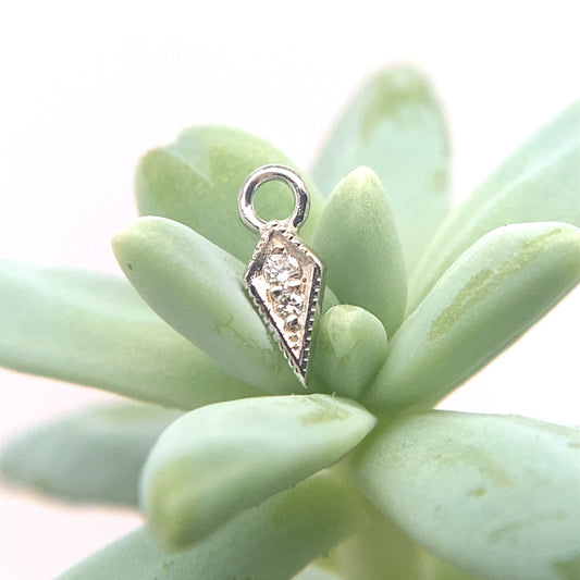 16g Charm with Dario - Navel Facing - Agave in Bloom