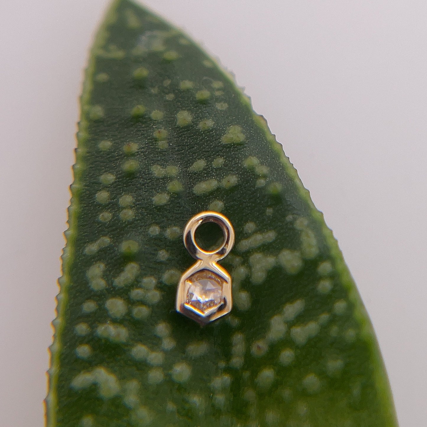 16g Charm with Honeycomb - Agave in Bloom
