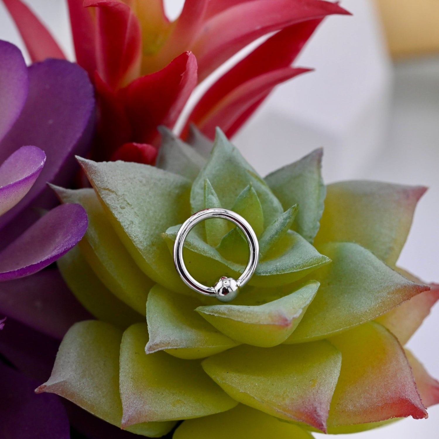 16g Fixed Bead Ring with 1/8" Bead - Agave in Bloom