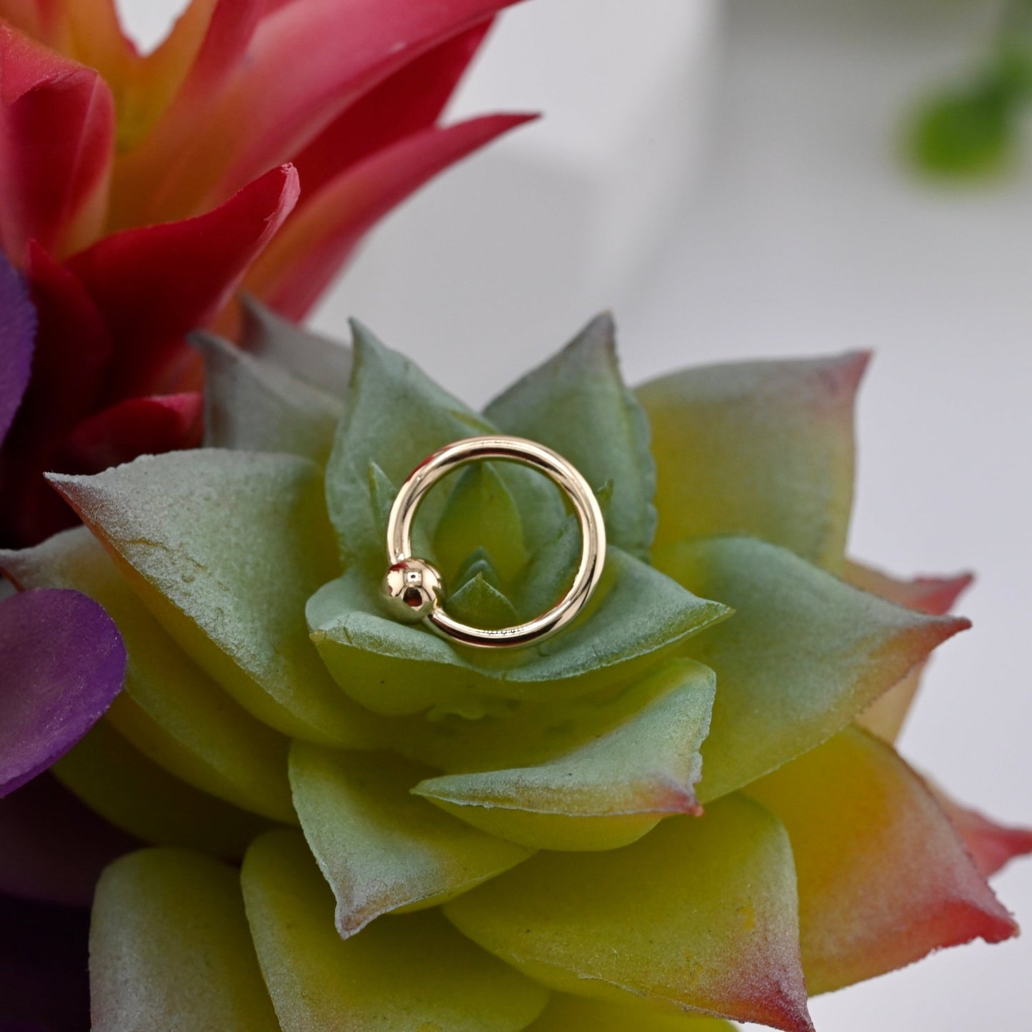 16g Fixed Bead Ring with 1/8" Bead - Agave in Bloom