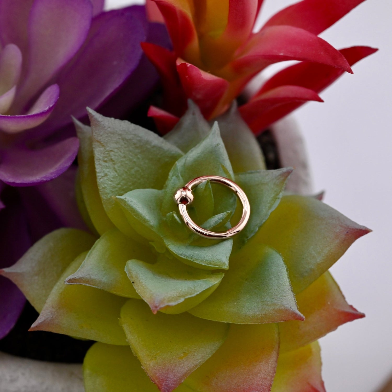 16g Fixed Bead Ring with 1/8" Bead - Agave in Bloom