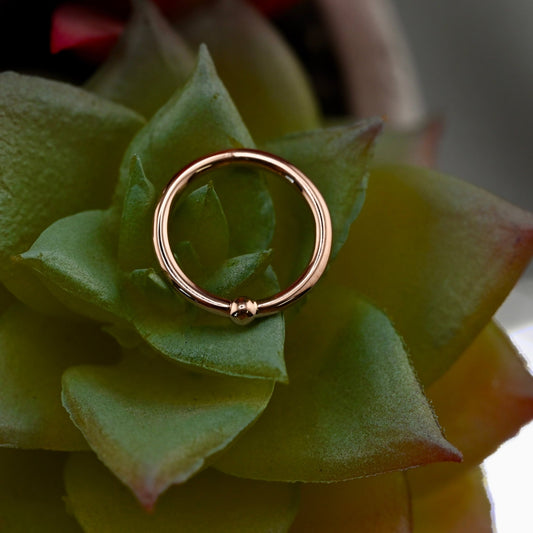 16g Fixed Bead Ring with 2mm Bead - Agave in Bloom