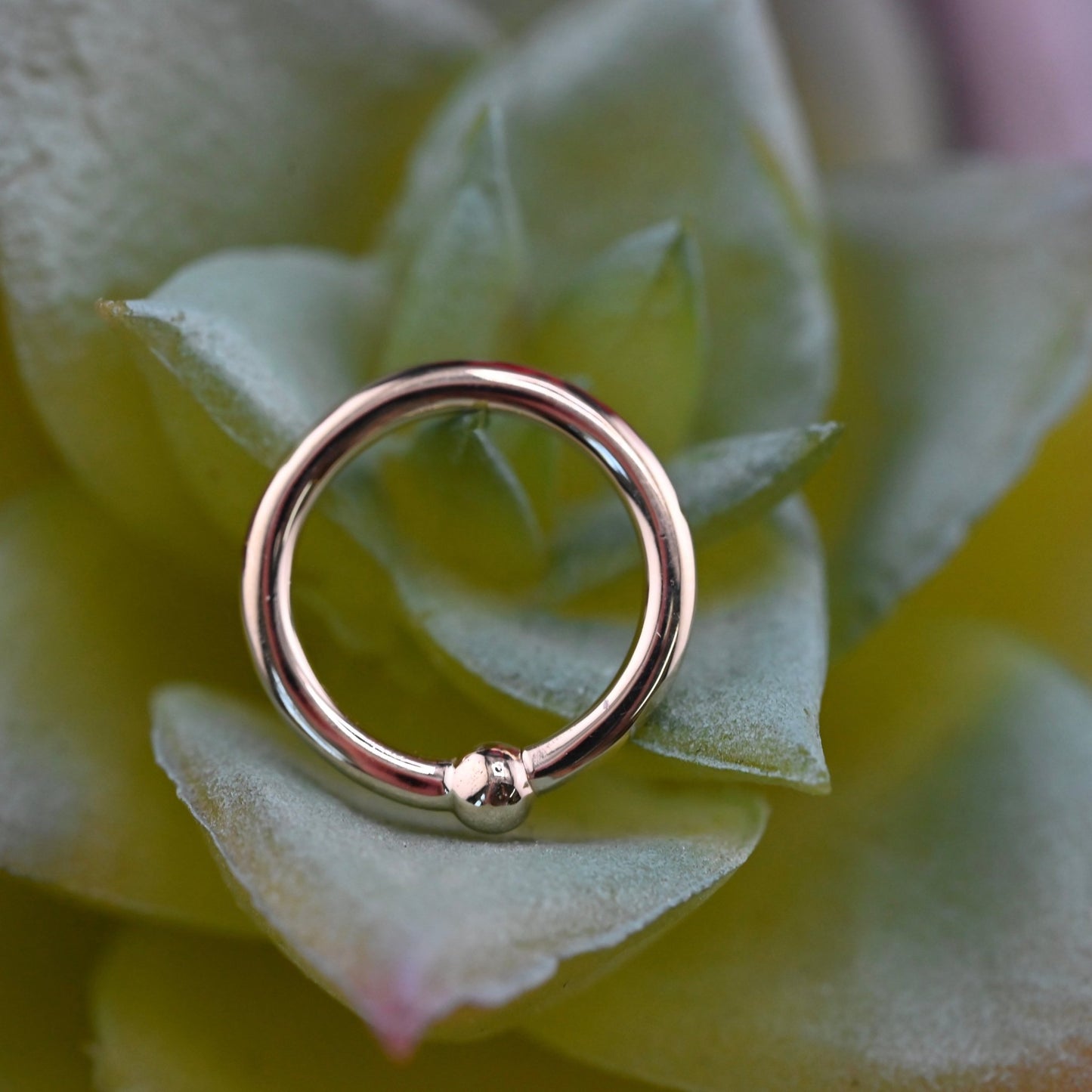 16g Fixed Bead Ring with 2mm Bead - Agave in Bloom