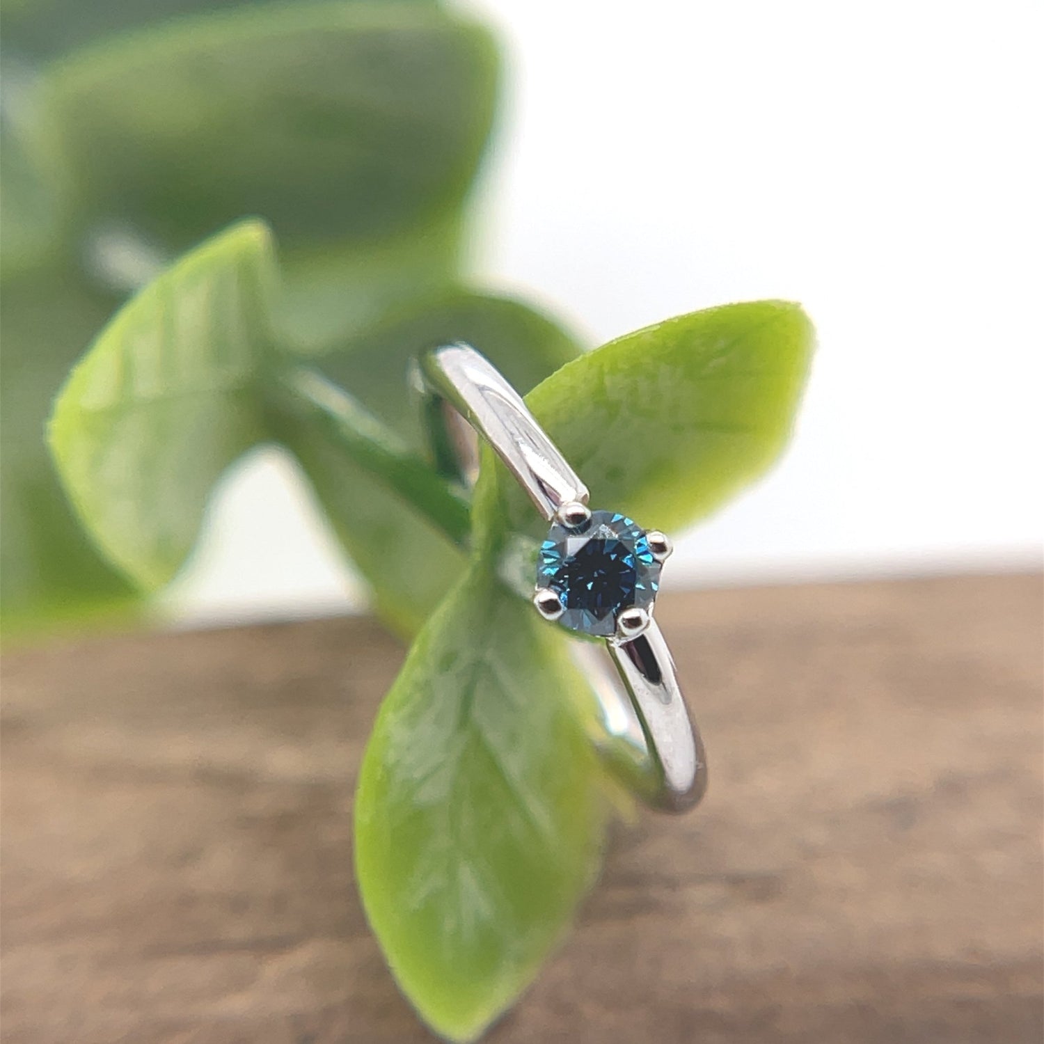 16g Fixed Ring with 2.5mm Round Prong - Navel Orientation - Agave in Bloom