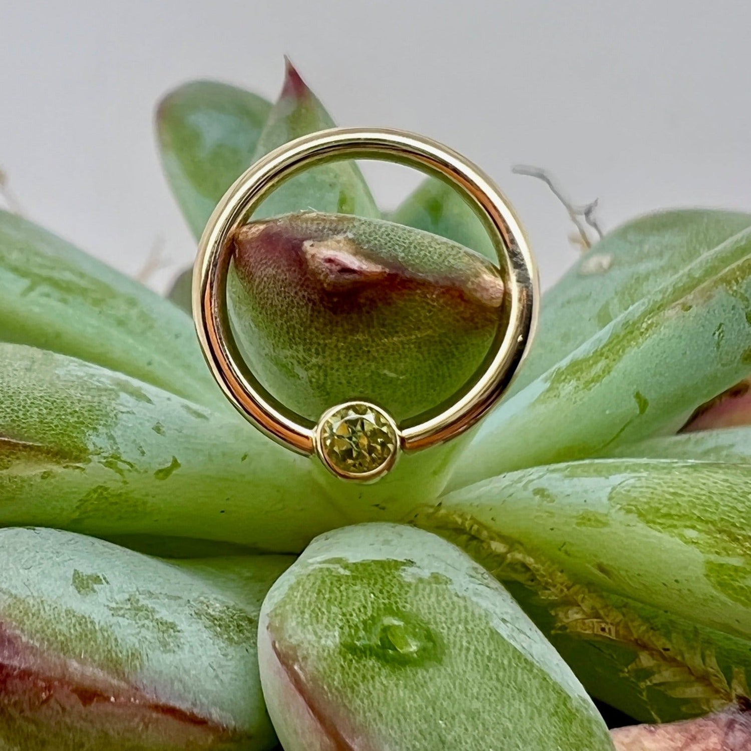 16g Fixed Ring with Open Back Round Bezel 2.5mm Gemstone - Nipple Orientation - Agave in Bloom