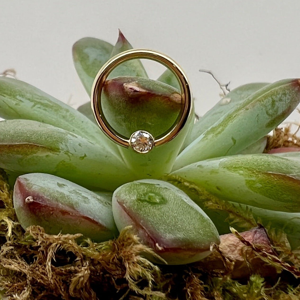 16g Fixed Ring with Open Back Round Bezel 2.5mm Gemstone - Nipple Orientation - Agave in Bloom