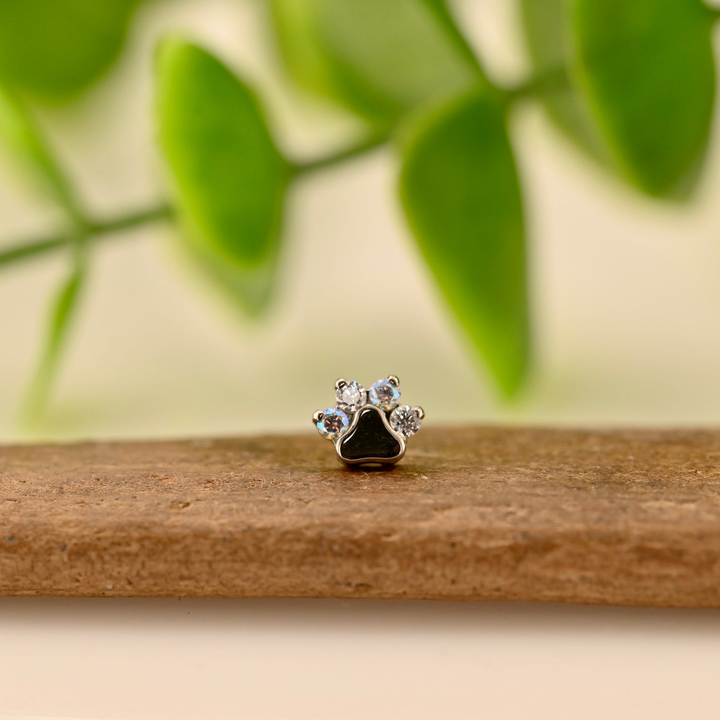 Titanium Paw Print - Gemmed