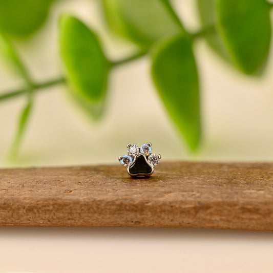 Titanium Paw Print - Gemmed