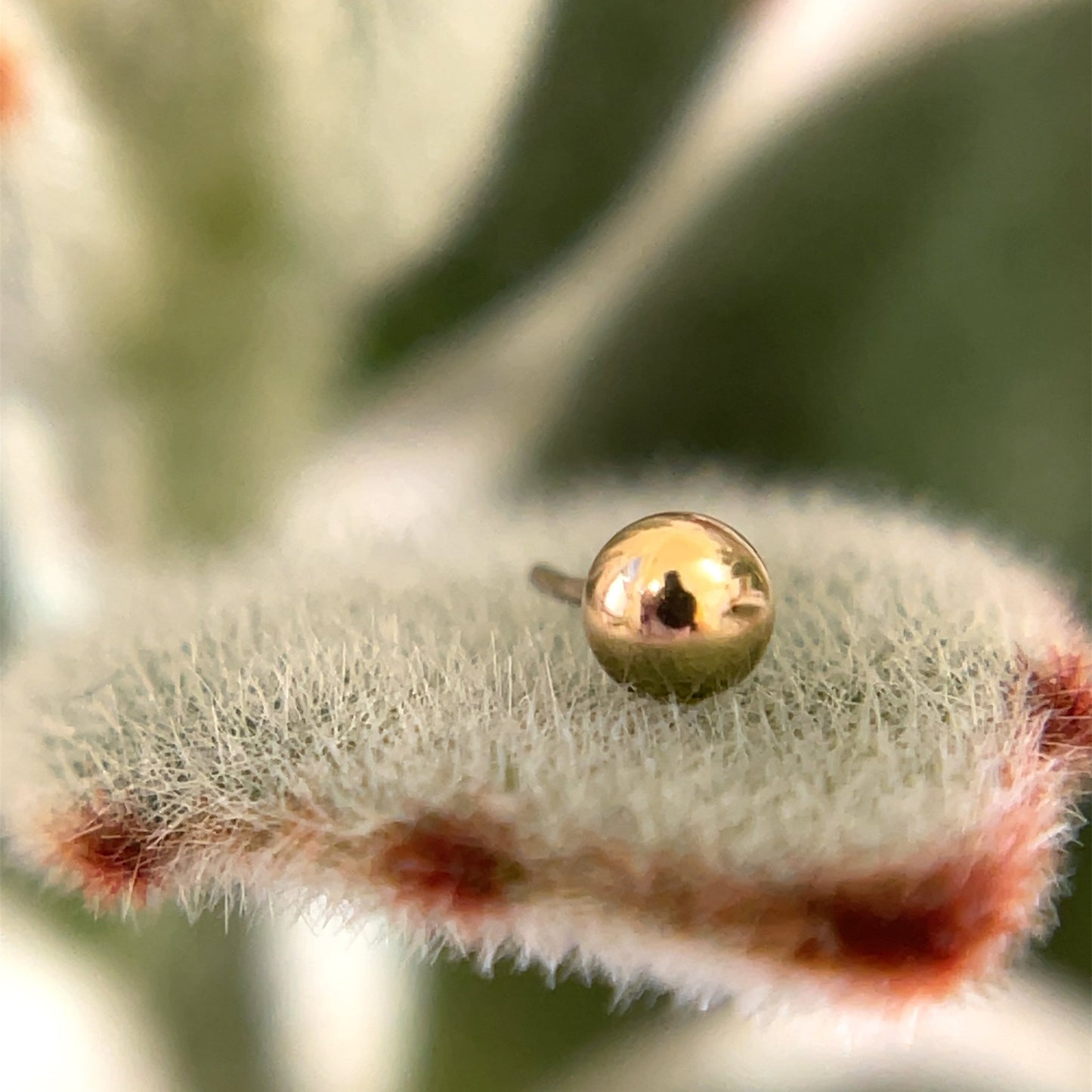 1/8" Bead - Agave in Bloom