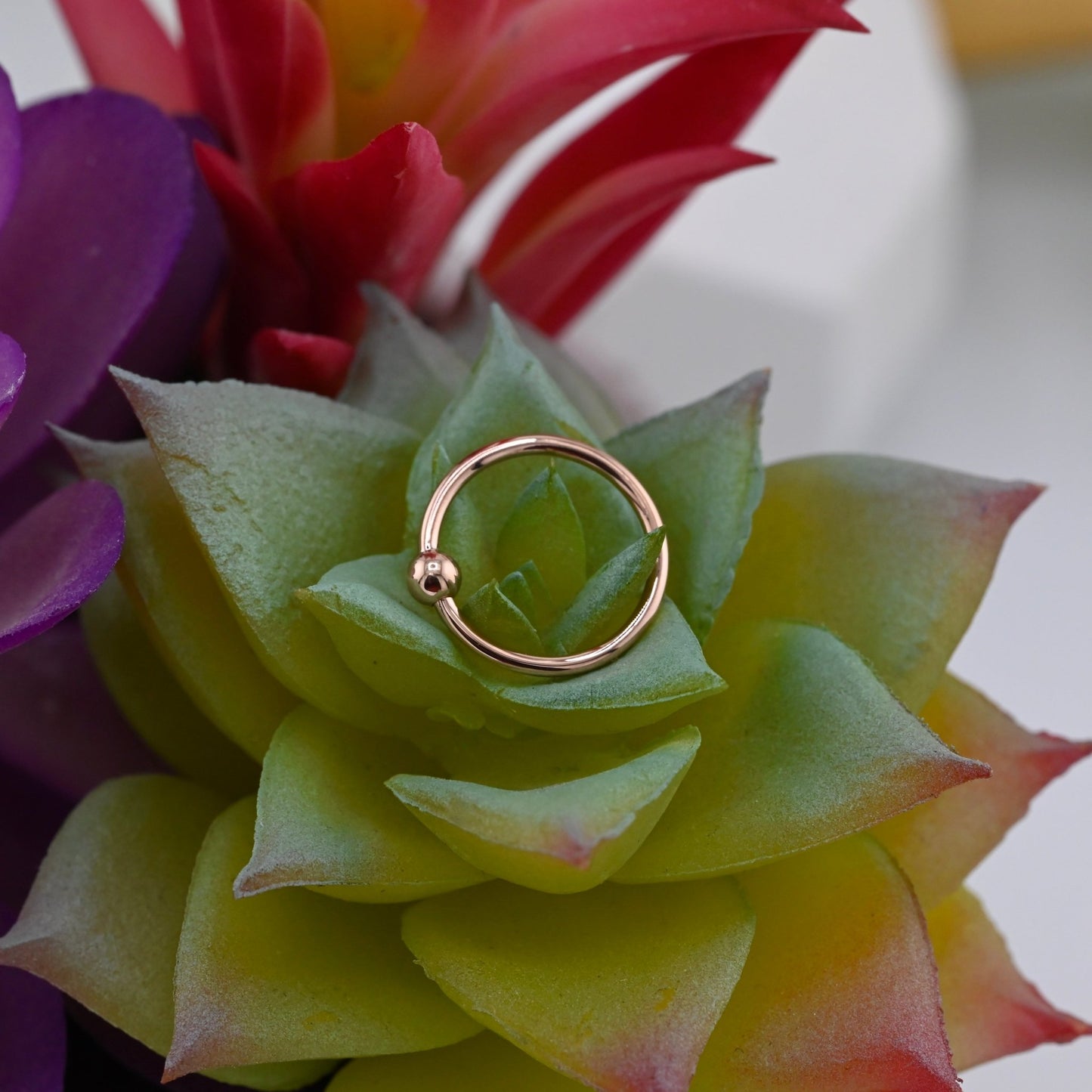 18g Fixed Bead Ring with 3/32" Bead - Agave in Bloom