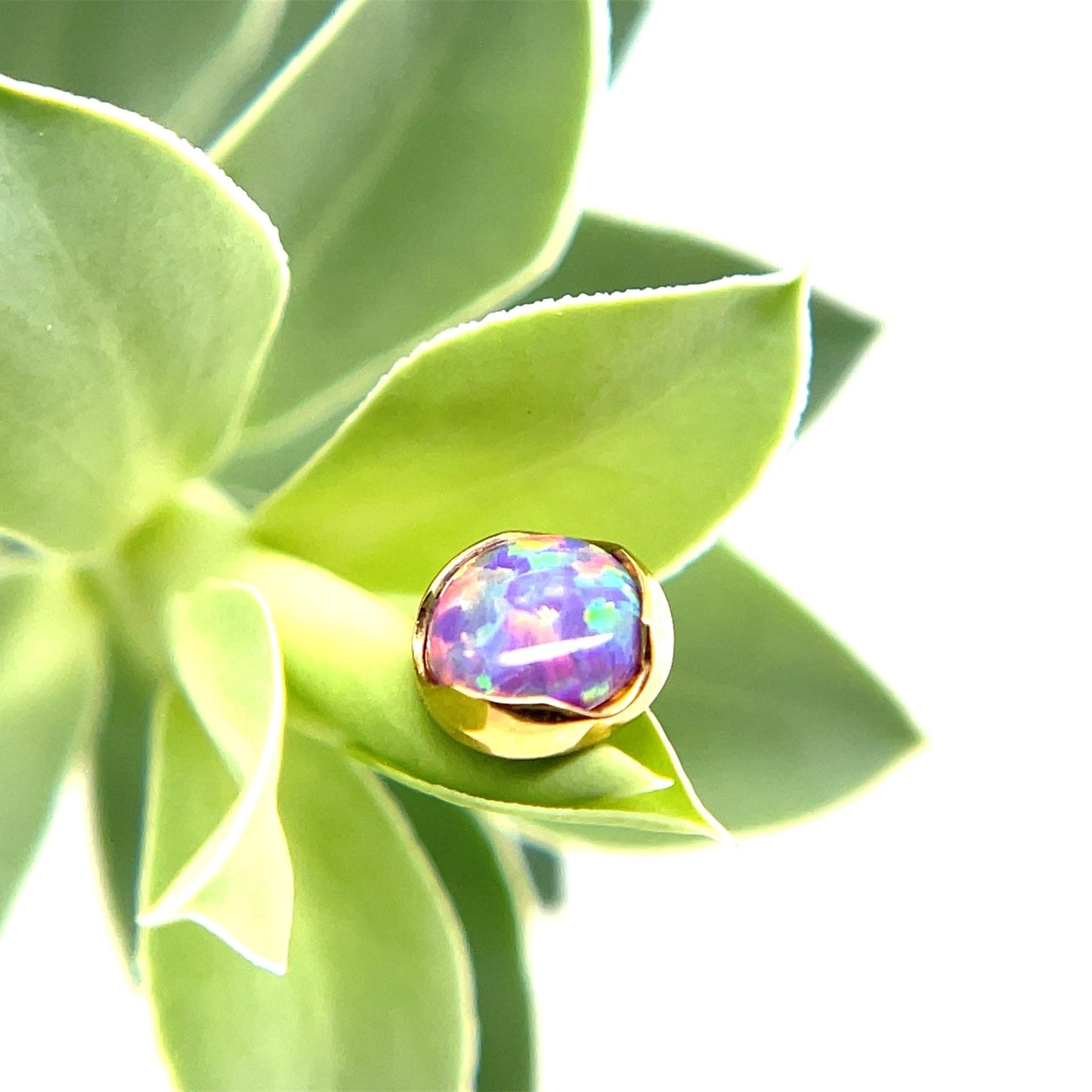 18k Gold 4mm Prong Cabochon - Agave in Bloom