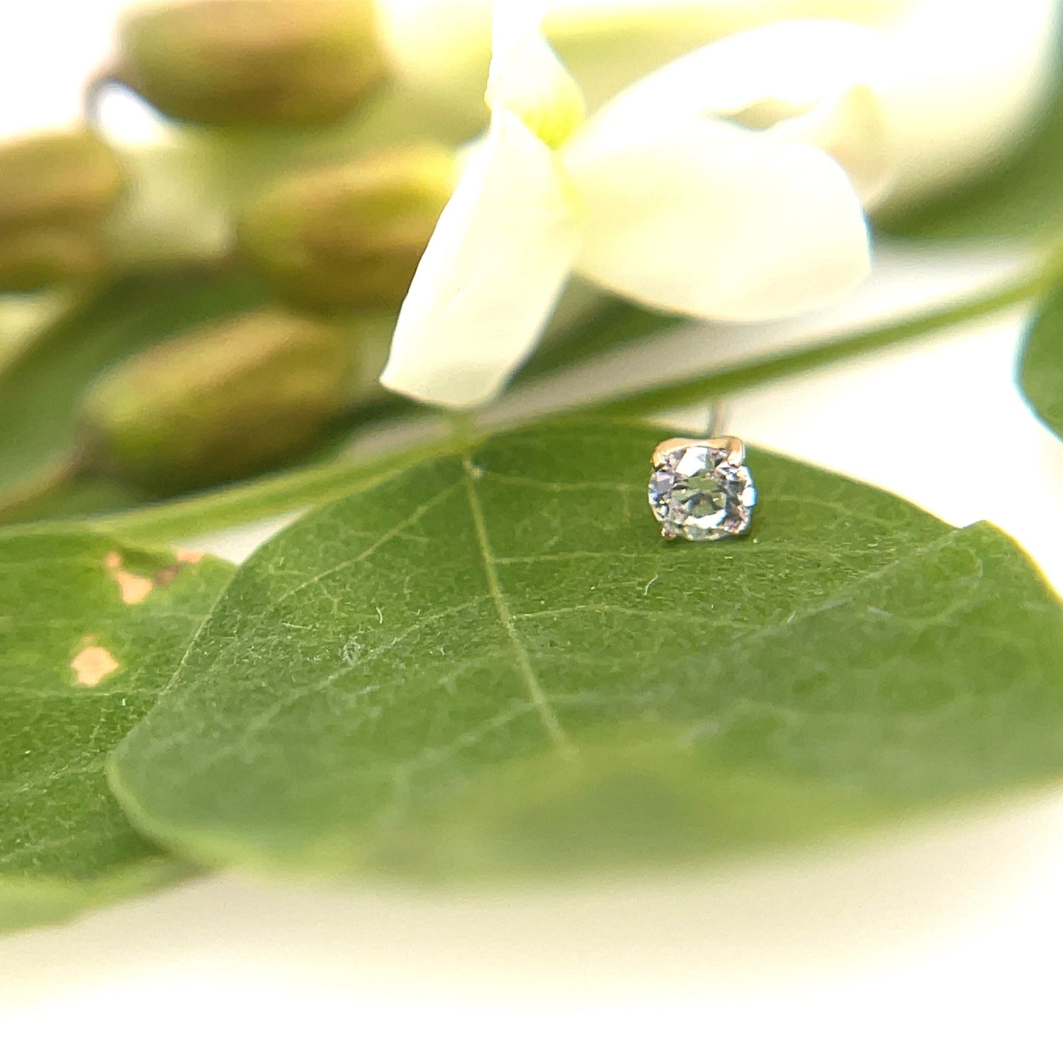 18K Gold Tiffany Prong Set Clear Swarovski - Agave in Bloom