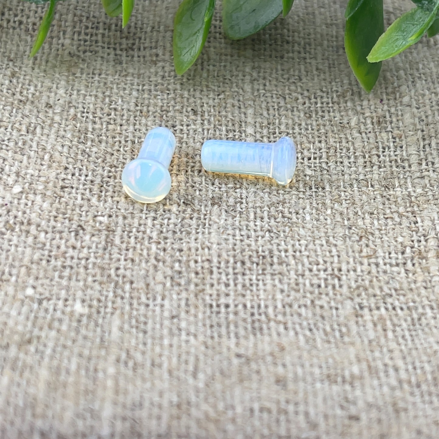 Opalite Single Flare Plugs - Pair