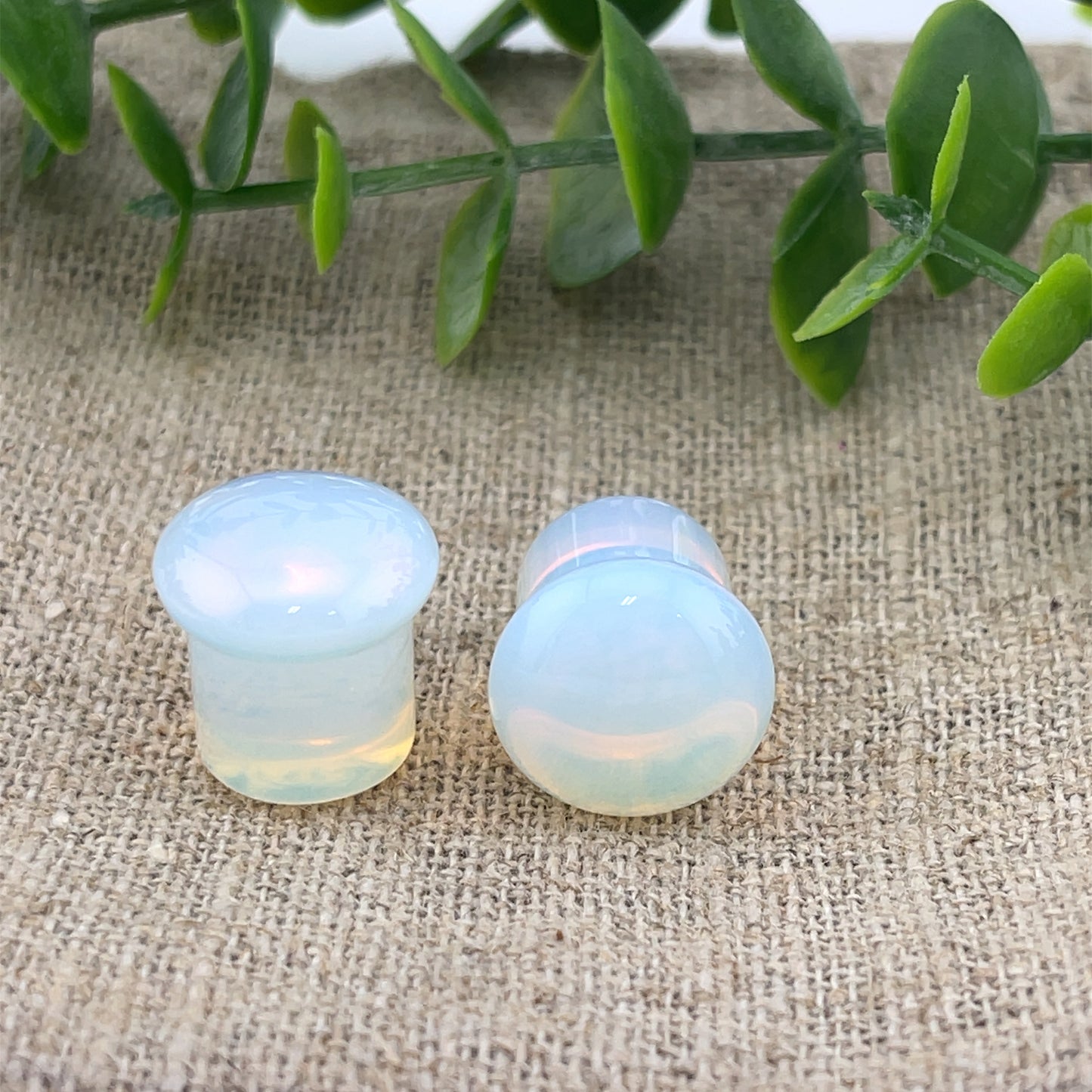 Opalite Single Flare Plugs - Pair