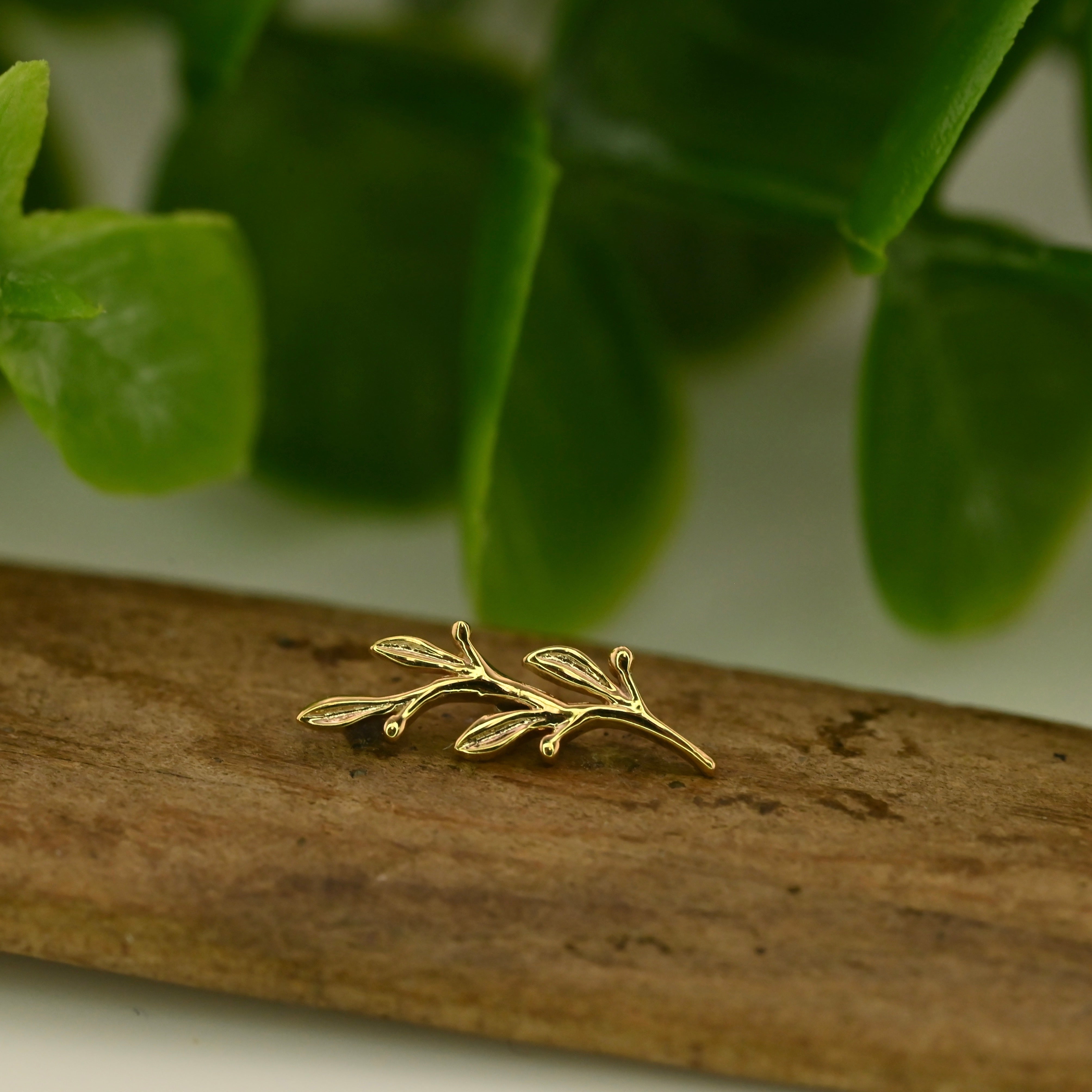 Small Amity – Agave in Bloom