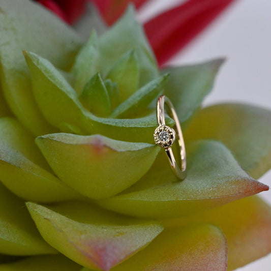 2.5mm Pave Circle Seam Ring - Agave in Bloom