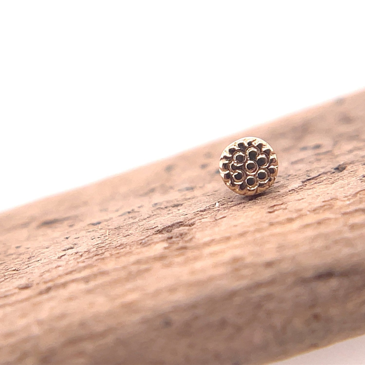 2.5mm Round Disc with Pave Texture - Agave in Bloom