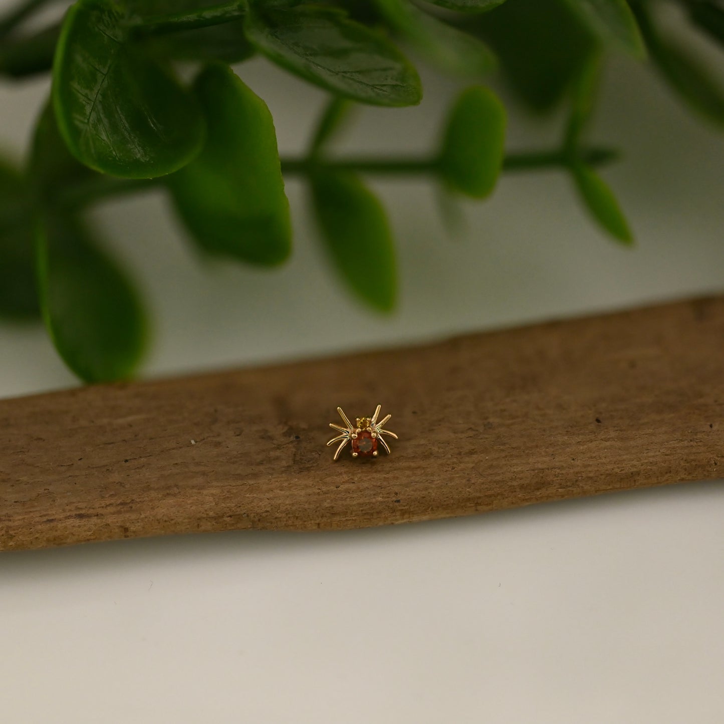 Octo (Spider)