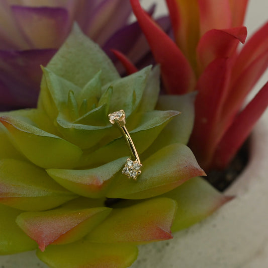 J-Curved Barbell with 3.5mm Reema Bottom