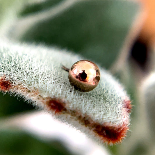 2mm Bead - Agave in Bloom