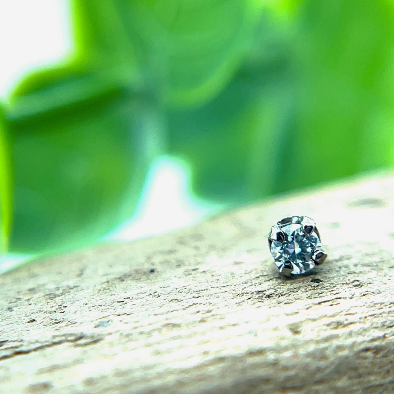 2mm Prong Set Diamonds - Agave in Bloom