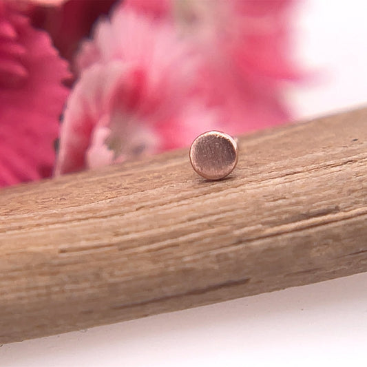 2mm Round Disc - Brushed Finish - Agave in Bloom