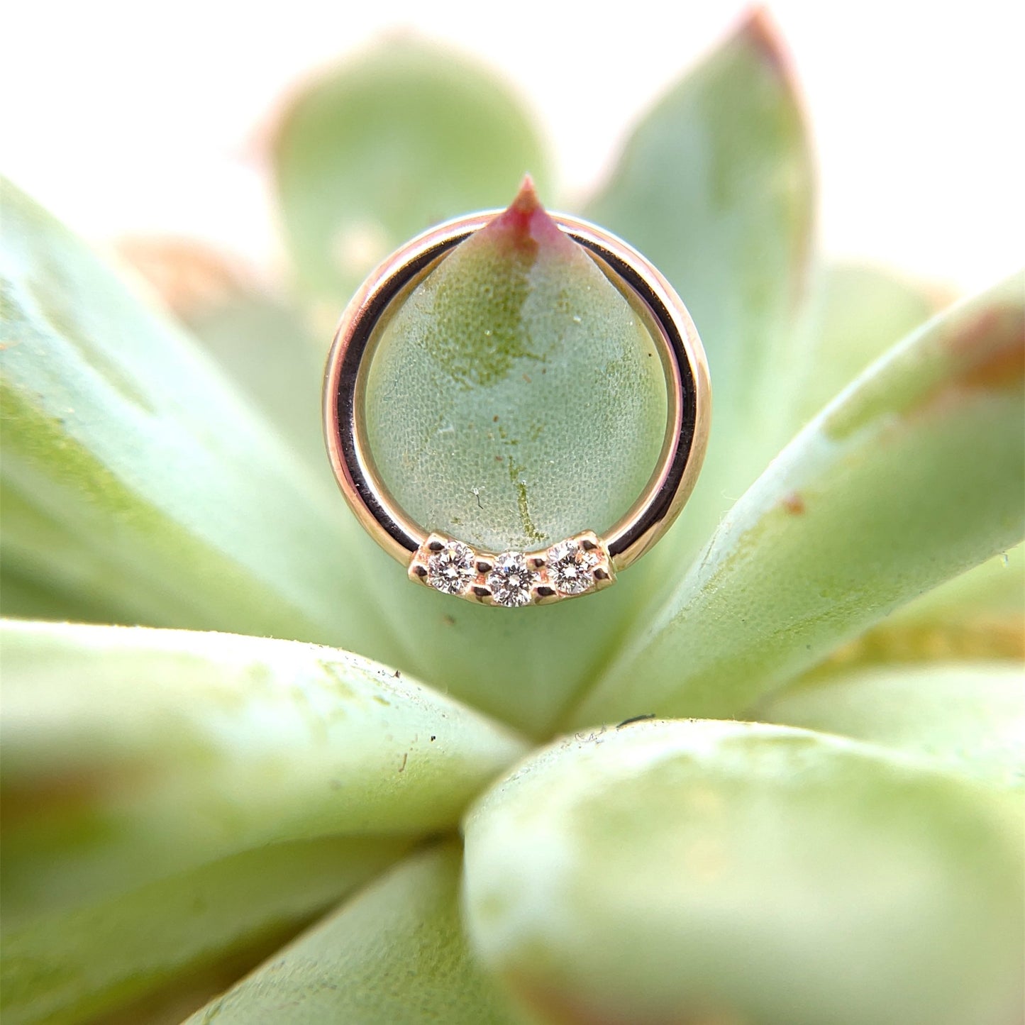 3 Gem Blaze Fixed Ring - Nipple Orientation 1.5mm Gemstones - Agave in Bloom