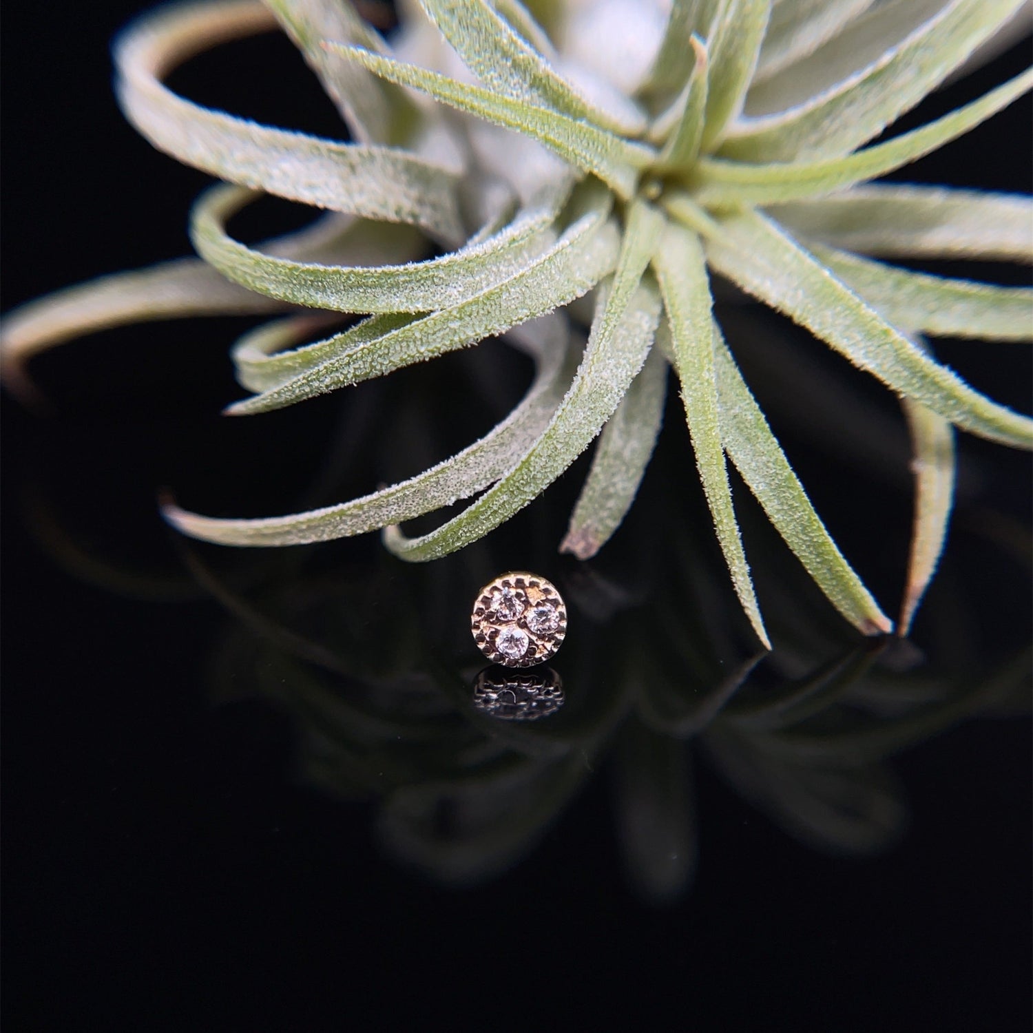 3 Gemstone Pave Circle - 4mm - Agave in Bloom