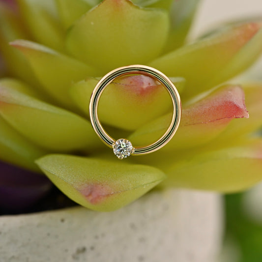 Fixed Ring with 2.5mm Round Prong - Nipple Orientation