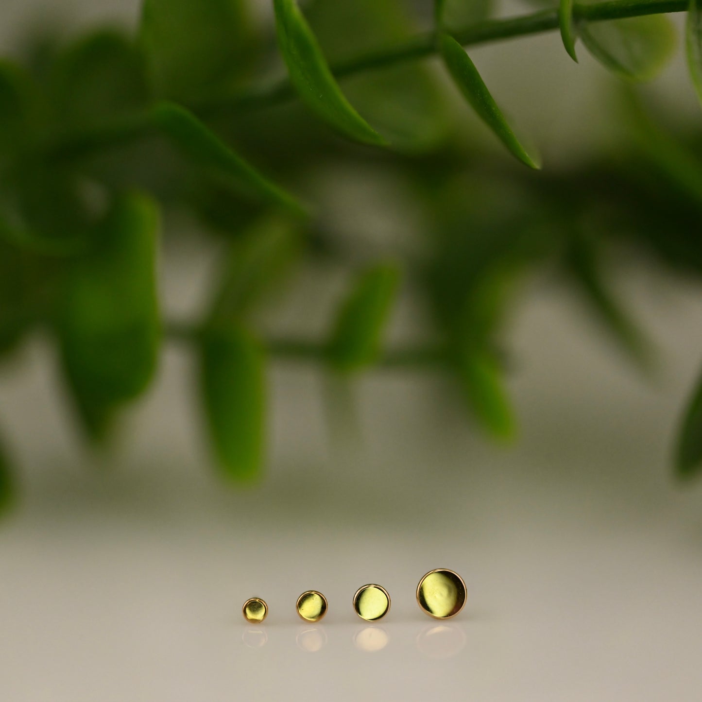 Round Disc - High Polish