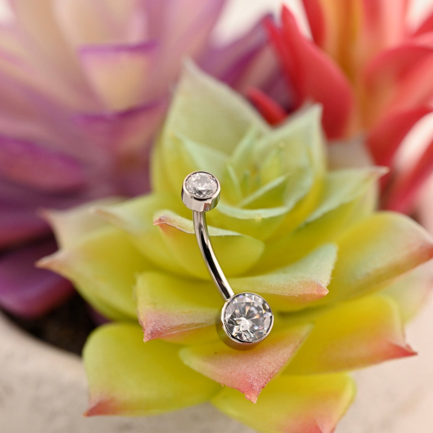 Titanium Double Bezel Navel Curve