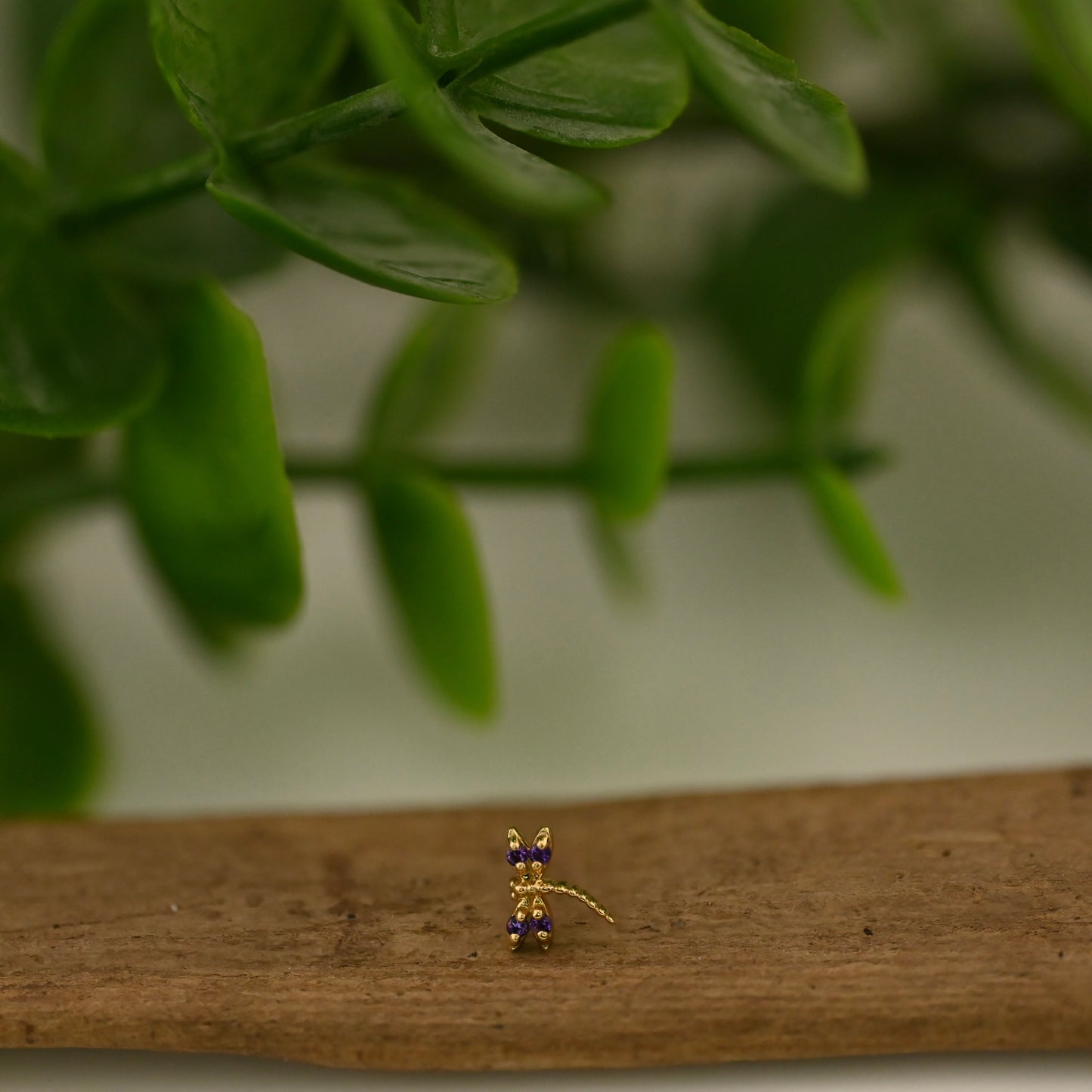 Damselfly