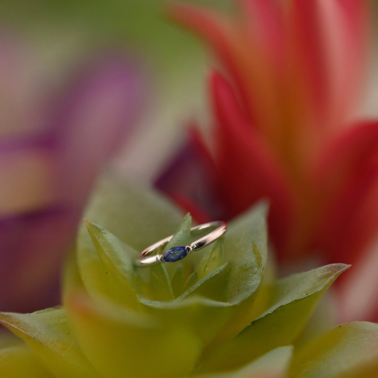 Marquise V Prong Fixed Ring