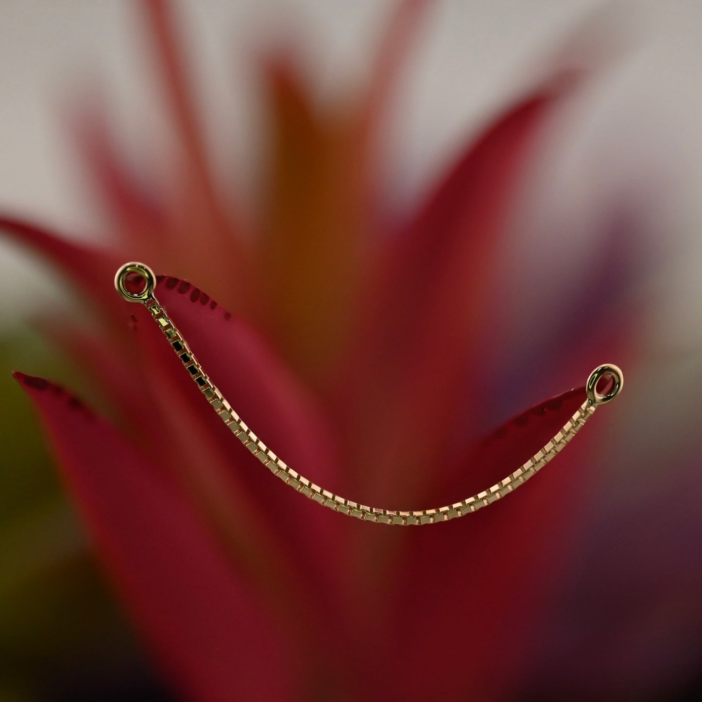 Alexas Box Chain Attachment