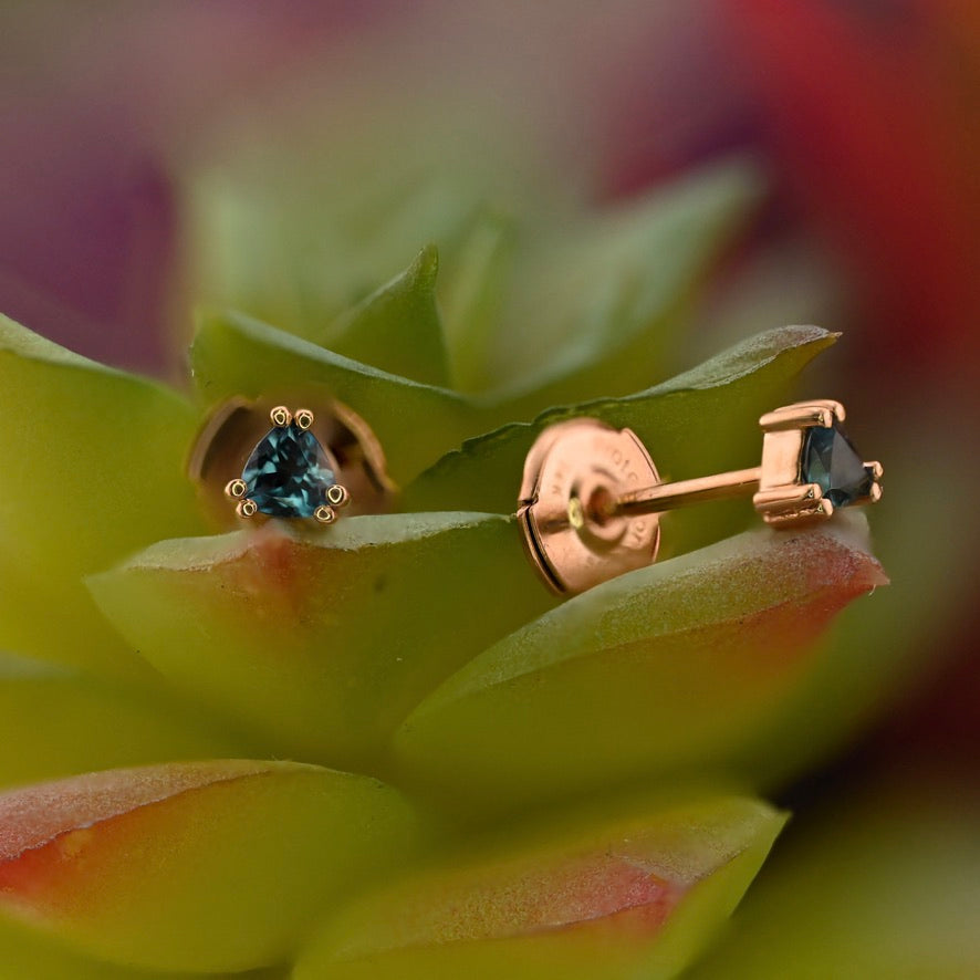Traditional Earring with La Pousette Backing