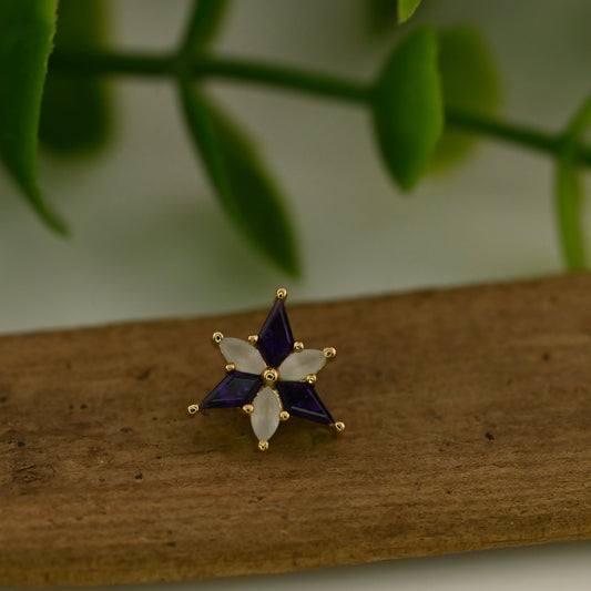 Stargazer
