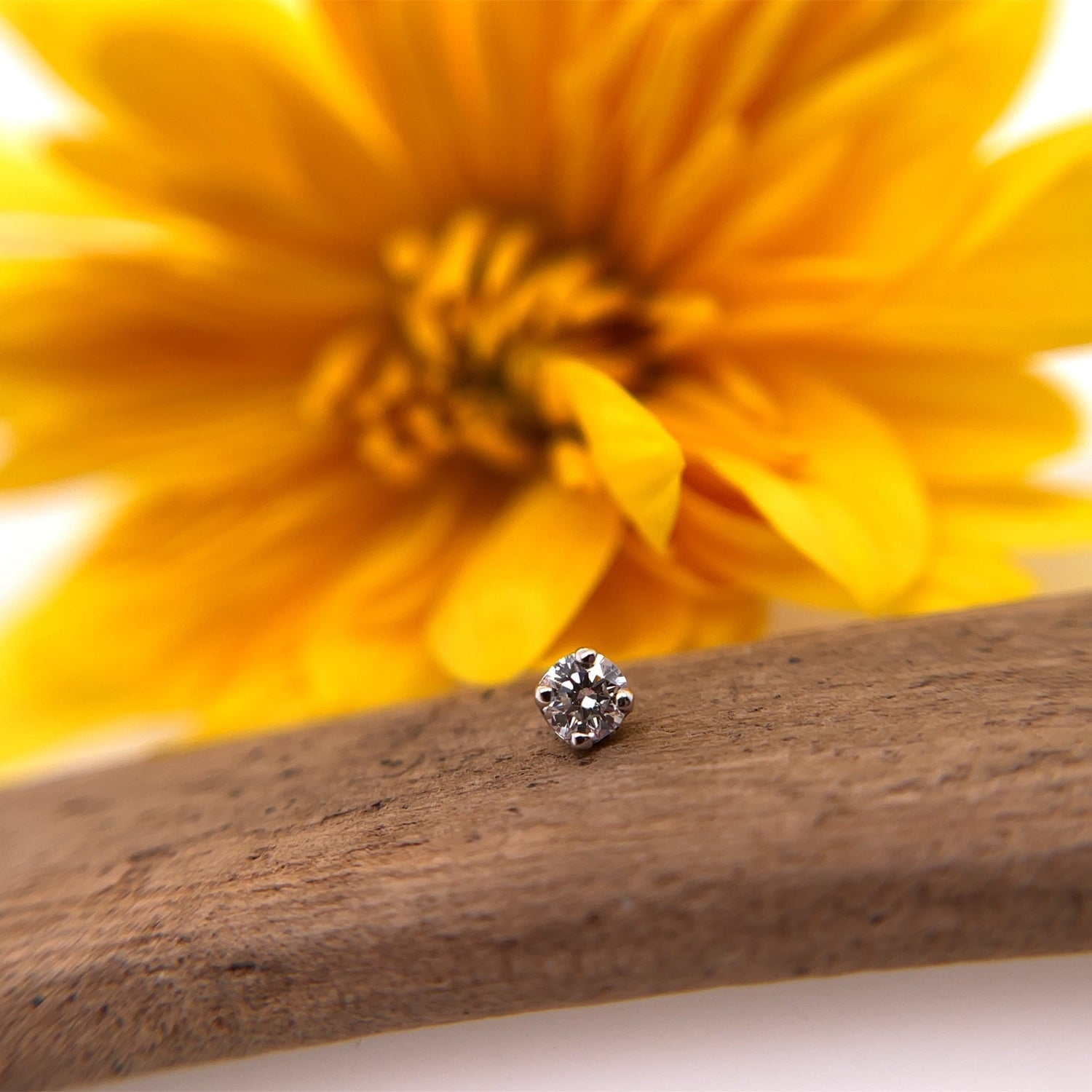 3mm Four Prong - Threaded - Agave in Bloom