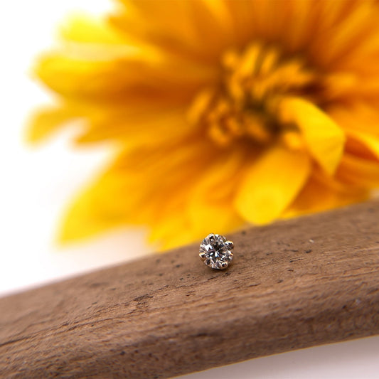 3mm Four Prong - Threaded - Agave in Bloom