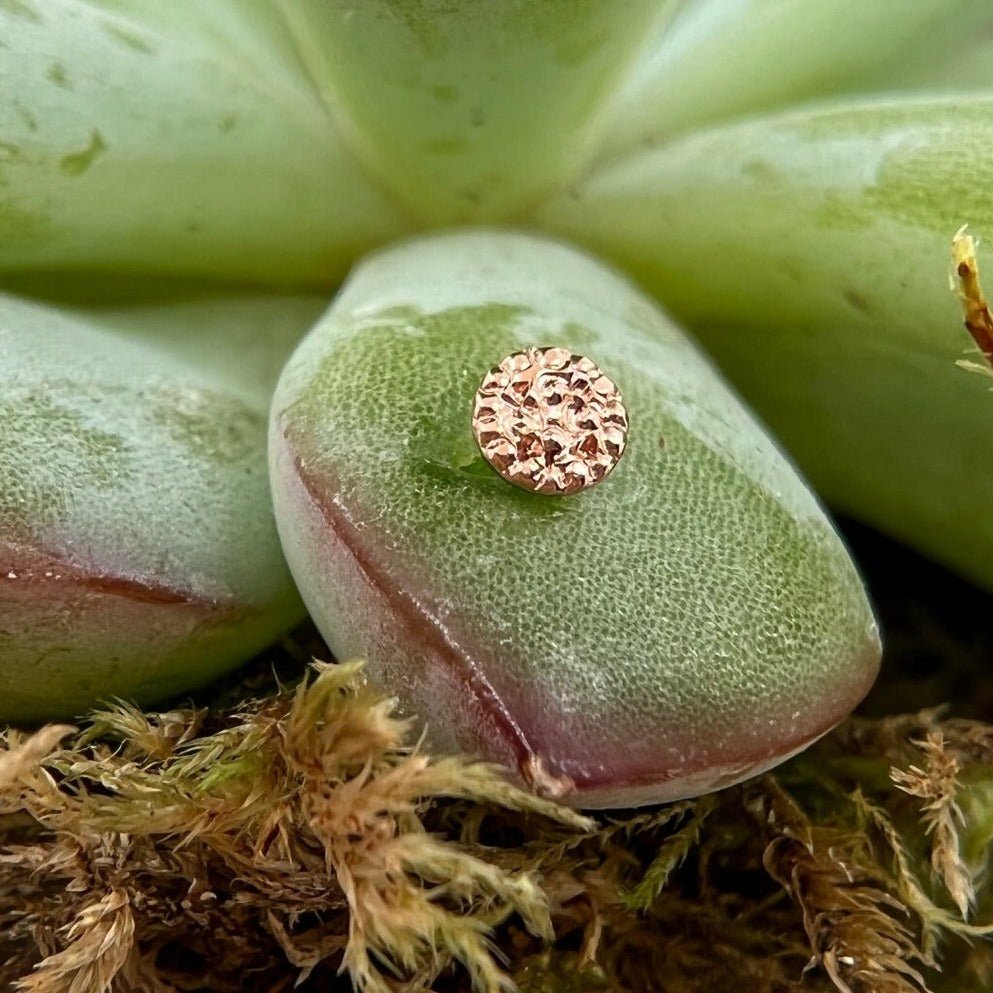 3mm Round Disc - Pave Texture - Agave in Bloom