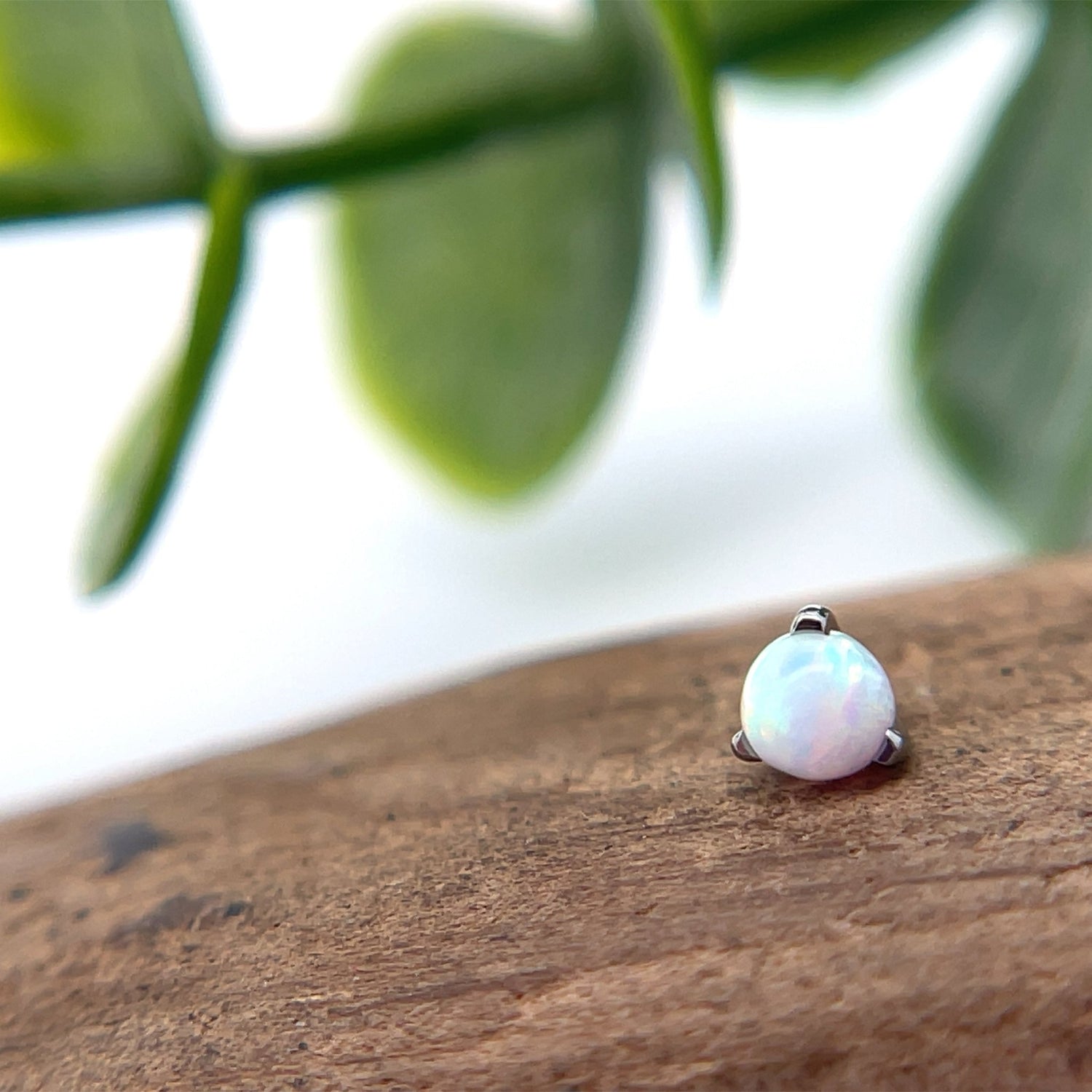 3mm Titanium Claw Set Orb Gems - Agave in Bloom