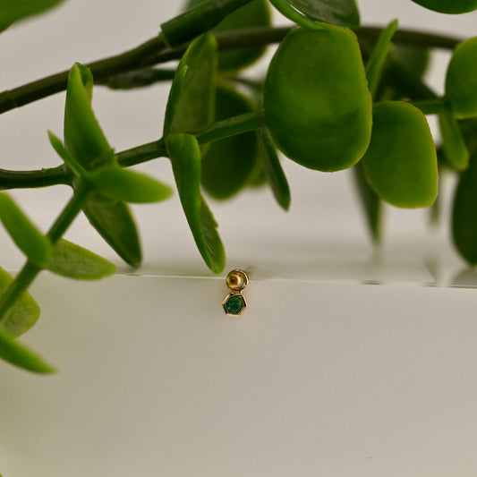 16g Charm with Honeycomb