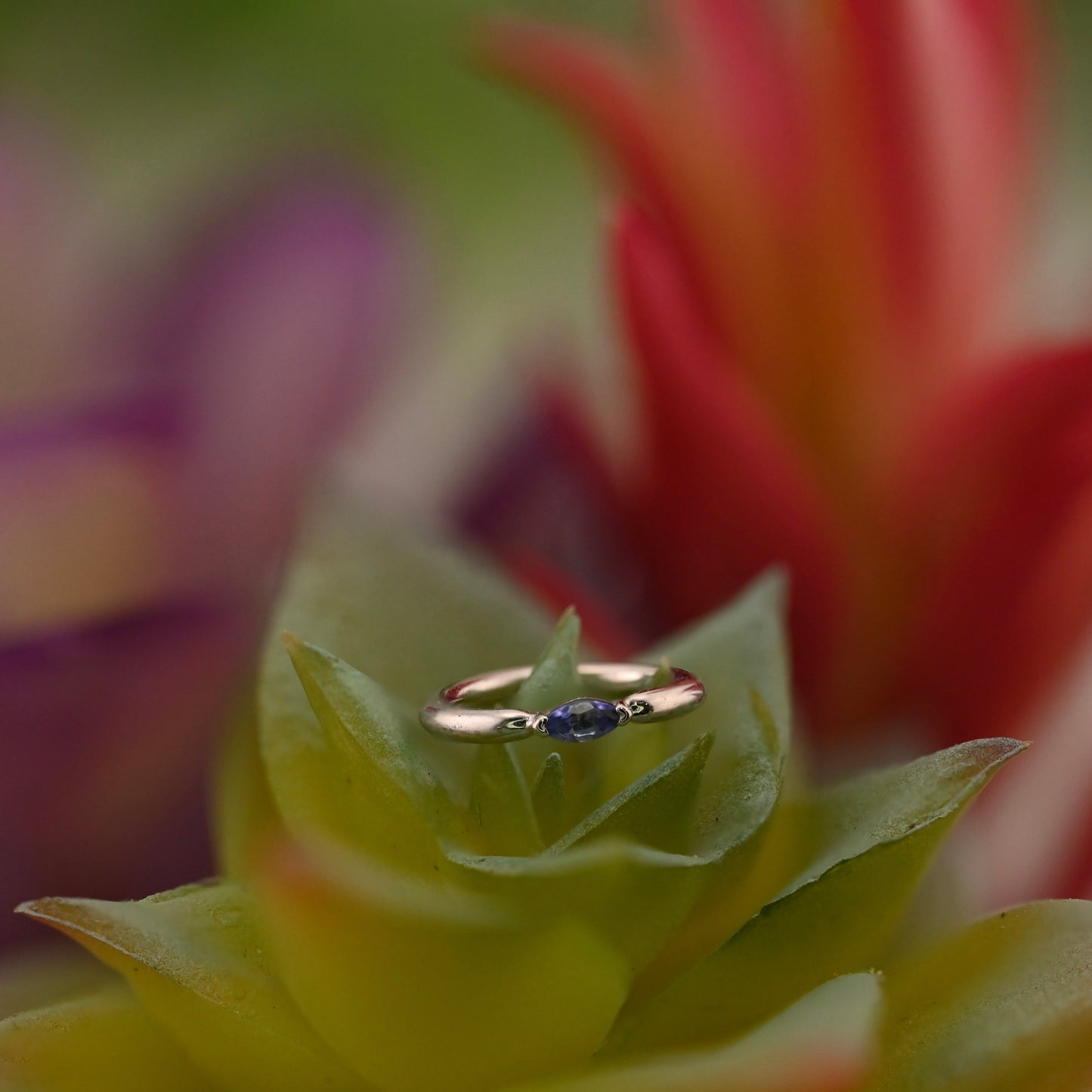 Marquise V Prong Fixed Ring