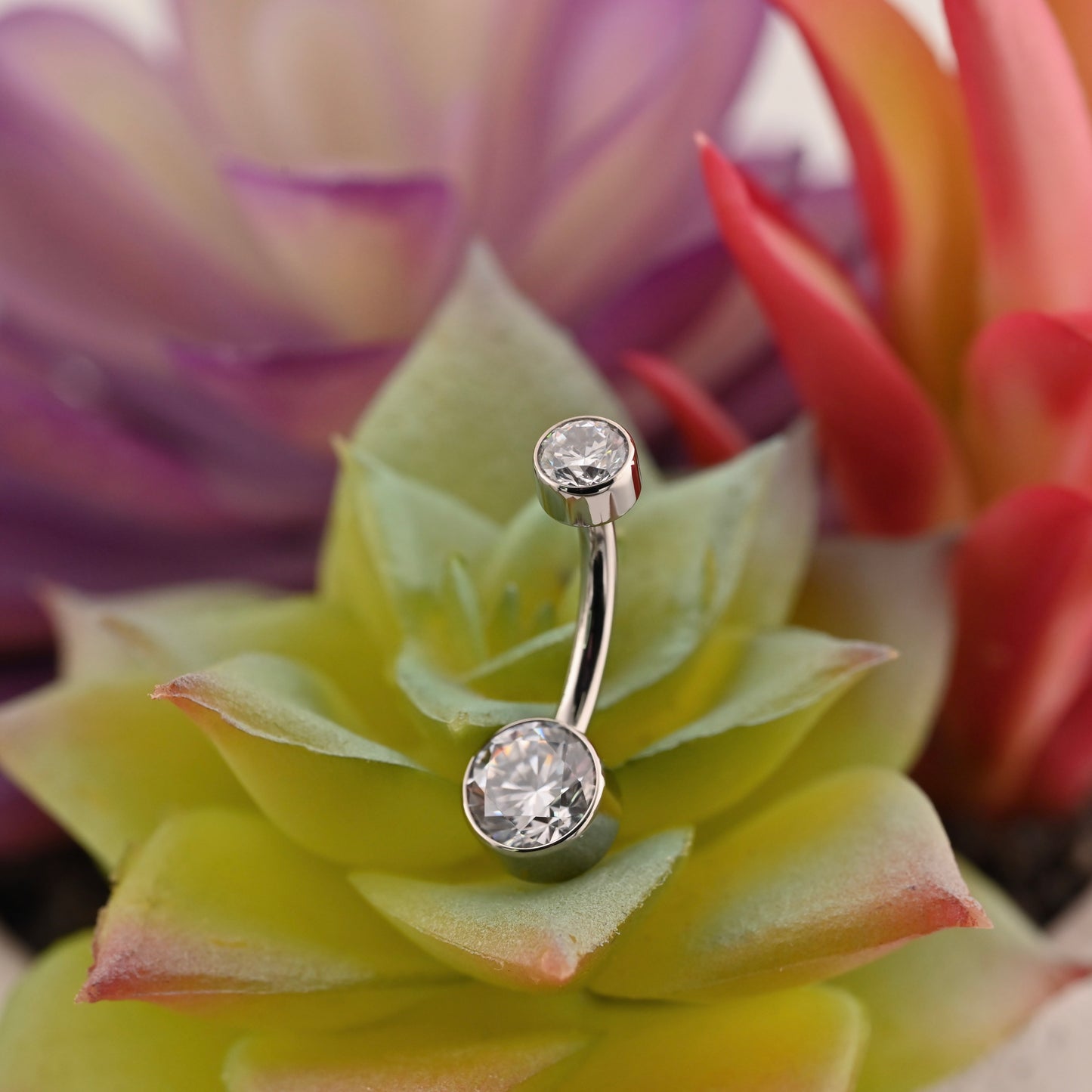 Titanium Double Bezel Navel Curve