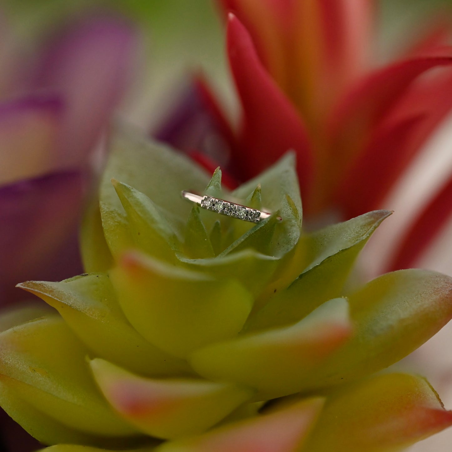 5 Gem Blaze Ring - Navel Orientation with 1mm Gemstones