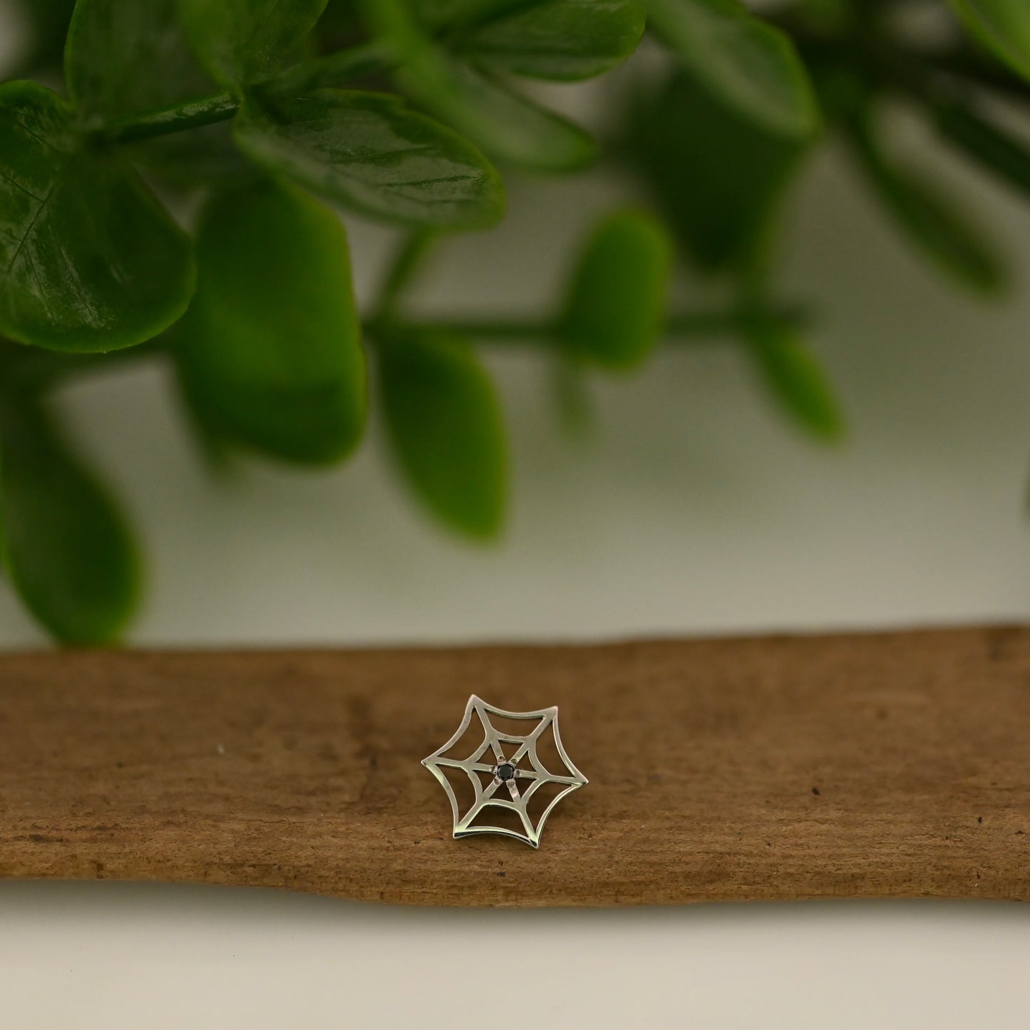 Spiderweb with Gem Center